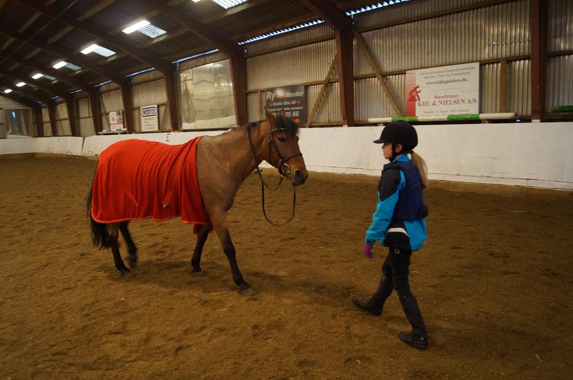 Anden særlig race Magic mix - kongens efterfølger billede 13