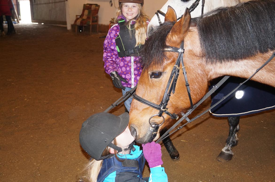 Anden særlig race Magic mix - elsker dig 4 ever<3 billede 14