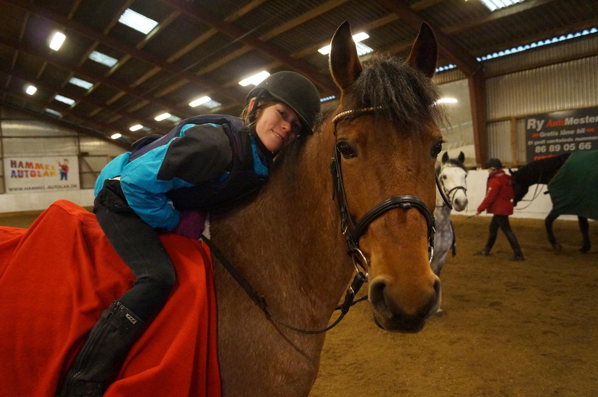 Anden særlig race Magic mix billede 15