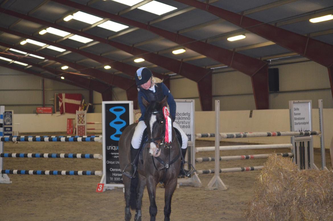 Tysk Sportspony Gotaro - du er som et snefnug der findes kun en af dig!<3 Gotaro vandt MB**  billede 1