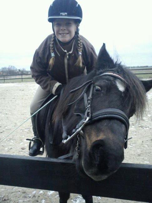 Dartmoor perle my soulmate !!!<3*stjerneponyen* - perle er meget nysgerrig billede 11