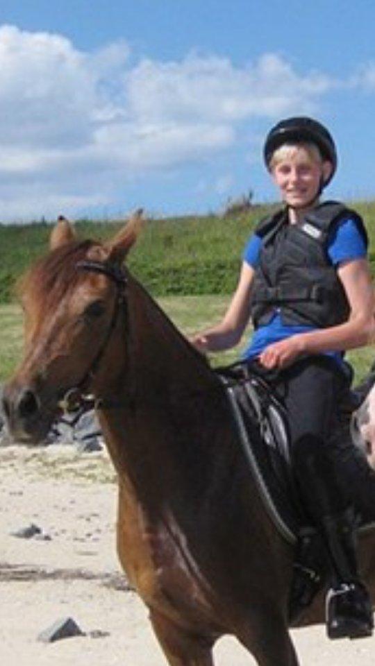 Tysk Sportspony Patricia - På stranden sidste sommer <3  billede 3