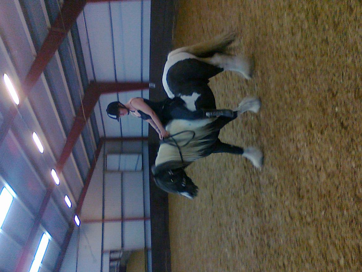 Tinker Tarquin billede 15