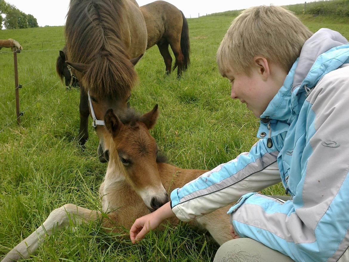 Islænder Hafdis - Feiker: Mennesker dufter sjovt. billede 15