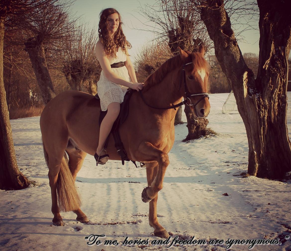 New Forest Foinix Dyrekjær - B-PONY! - velkommen til Foinix´s profil! :D smid gerne en bedømmelse og en kommentar taak :´)
- ”To me, horses and freedom are synonymous.” Foto: Lenea Grønbæk billede 1