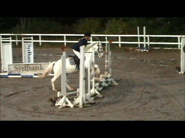 Anden særlig race Plet/Pletten [ELEVPONY] red - Plet i fuld firspring  billede 3