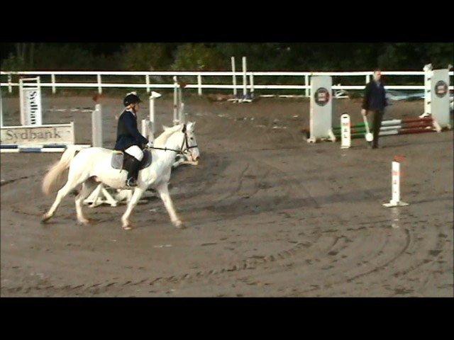 Anden særlig race Plet/Pletten [ELEVPONY] red - Lige inden jeg skulle springe, mit først stævne med ham :D billede 4