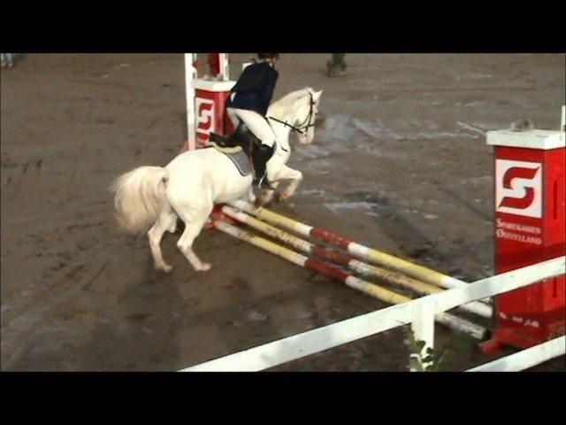 Anden særlig race Plet/Pletten [ELEVPONY] red - Første spring, til første stævne sammen :D
 billede 5