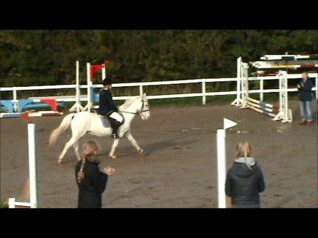 Anden særlig race Plet/Pletten [ELEVPONY] red - Styr dine ben Plet :D billede 6