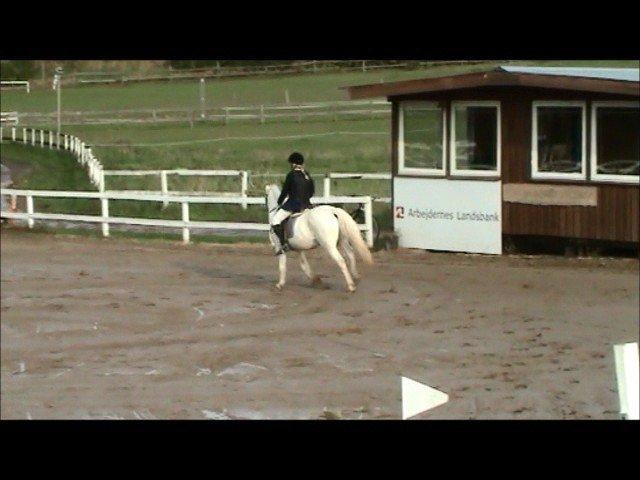 Anden særlig race Plet/Pletten [ELEVPONY] red - Du skal ikke være bange jeg er ved dig :D billede 7