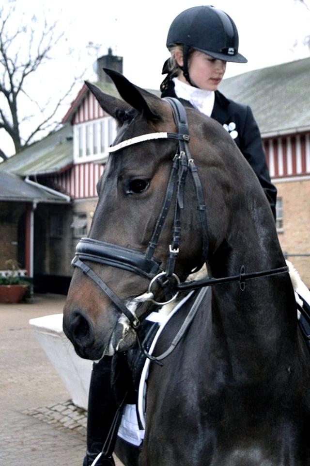 DSP Røgild's Dominique - Velkommen til Dominique's profil. Tak fordi at i kigger forbi :) billede 1