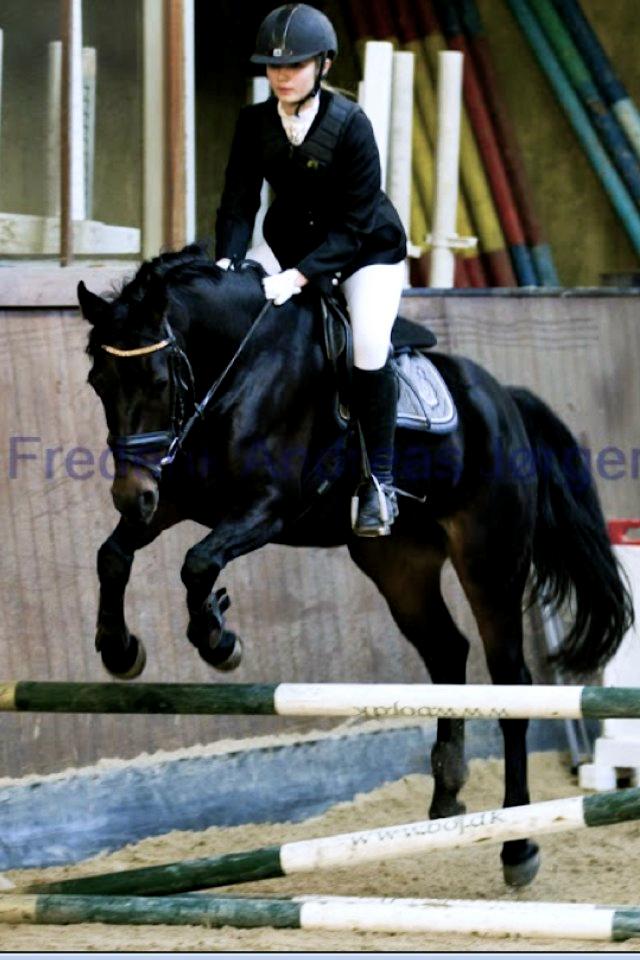 DSP Røgild's Dominique - Domi's første springstævne  billede 13