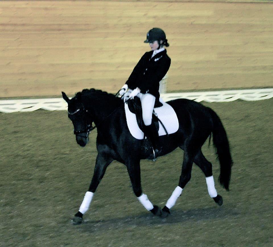 DSP Røgild's Dominique billede 14