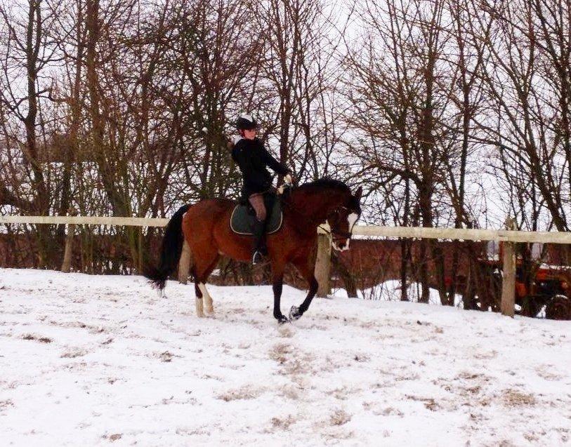 DSP Haahr's Kalahari - Det går så godt! :) Taget af Sanne K billede 6