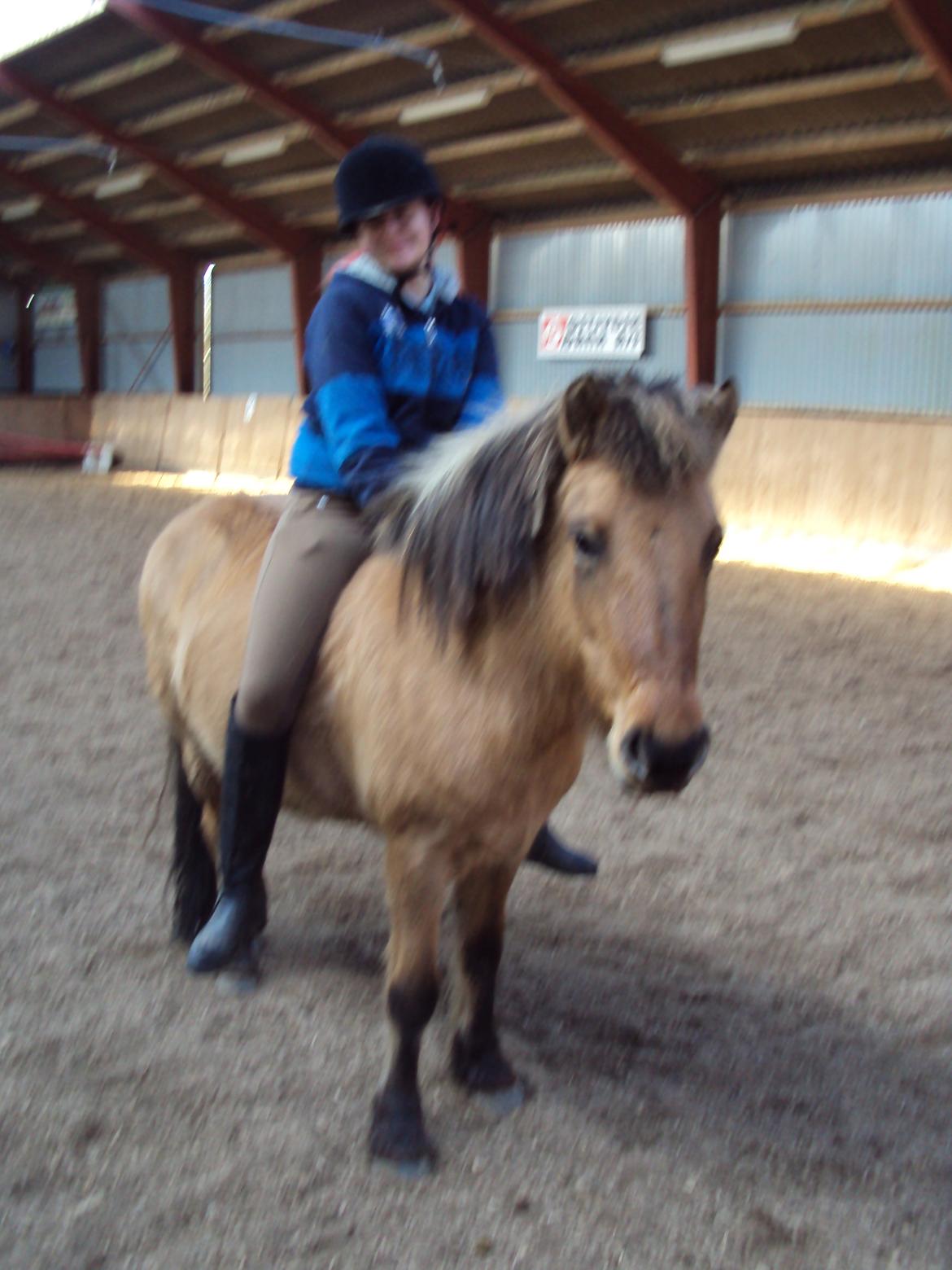 Anden særlig race Tasi <3 - Ikke det bedste billede men tegn på vi stoler på hinanden <3 Os to gennem ild og vand <3  billede 5