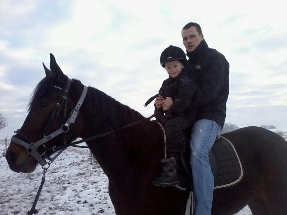 Traver Power Of Roll billede 1