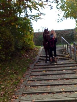 Tysk Sportspony Patricia - Patricia og jeg på tur:-) billede 6