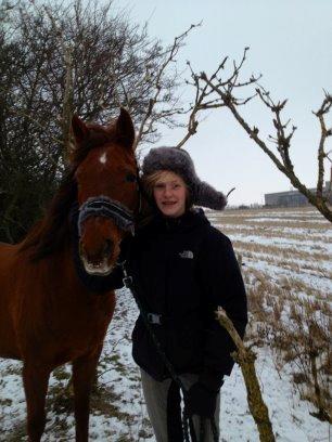 Tysk Sportspony Patricia billede 10