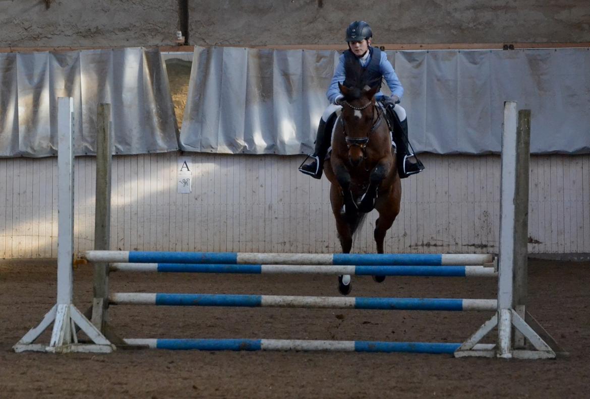 DSP LAZIONE KÆRLUND - Lazibazi tager lige over og tænker "HOLD FAST PILOT, NU SPRINGER JEG ALTSÅ!" billede 9
