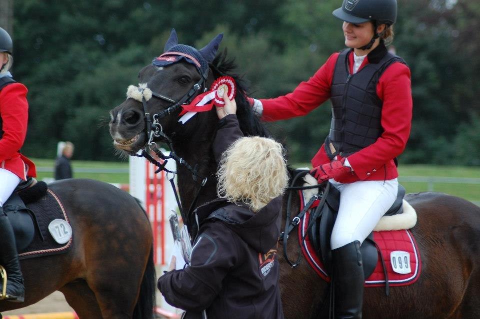 Welsh Cob (sec D) Englyst Shakespeare billede 4