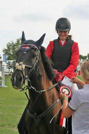 Welsh Cob (sec D) Englyst Shakespeare billede 19