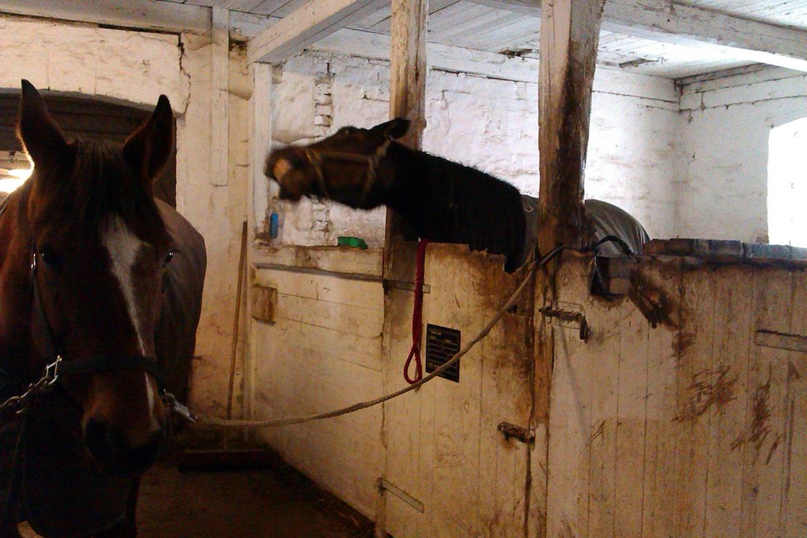 Traver Lane Earth - er vi snart færdig, så vi kan komme ud, jeg keder mig billede 11