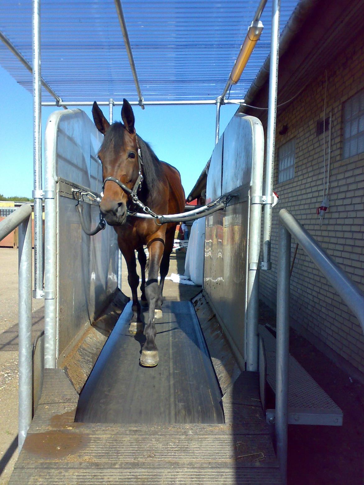 Traver Lane Earth - går og går, men kommer ingen vegne billede 12