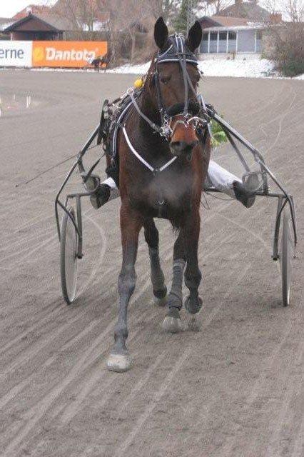 Traver Lane Earth - og her er vi på vej til præmie overrækelse billede 7