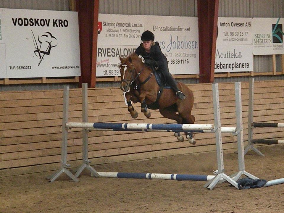 Anden særlig race Papaya billede 1