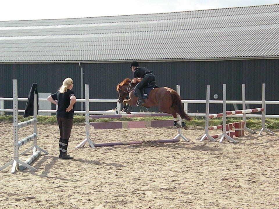 Anden særlig race Papaya billede 2