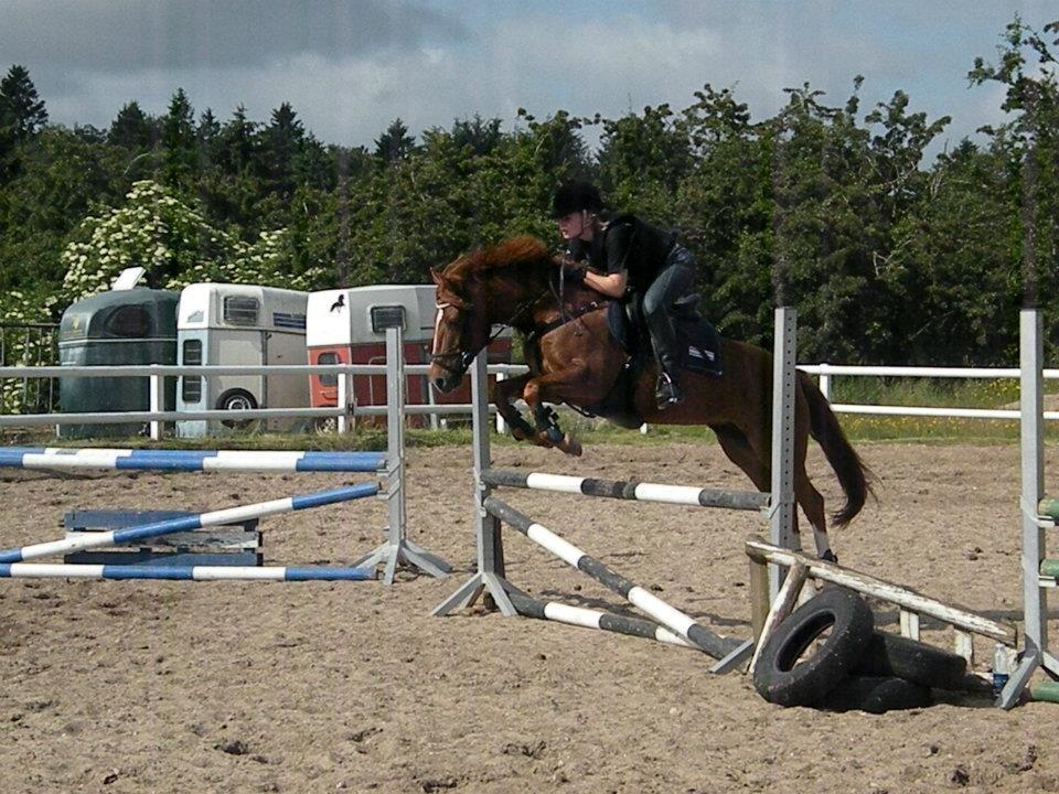 Anden særlig race Papaya billede 4