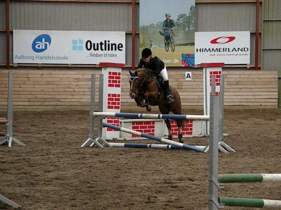 Anden særlig race Papaya - Åbenthus stafetspringning - LB :-) billede 8