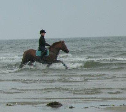 Anden særlig race Papaya - 1. gang på stranden <3 billede 9