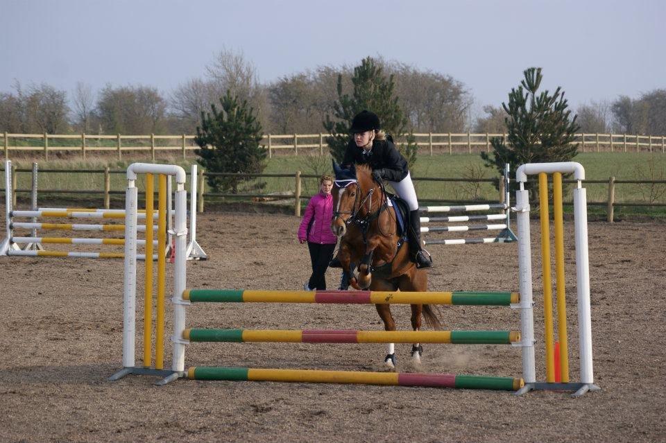 Anden særlig race Papaya - 1. stævne - LB2** billede 11