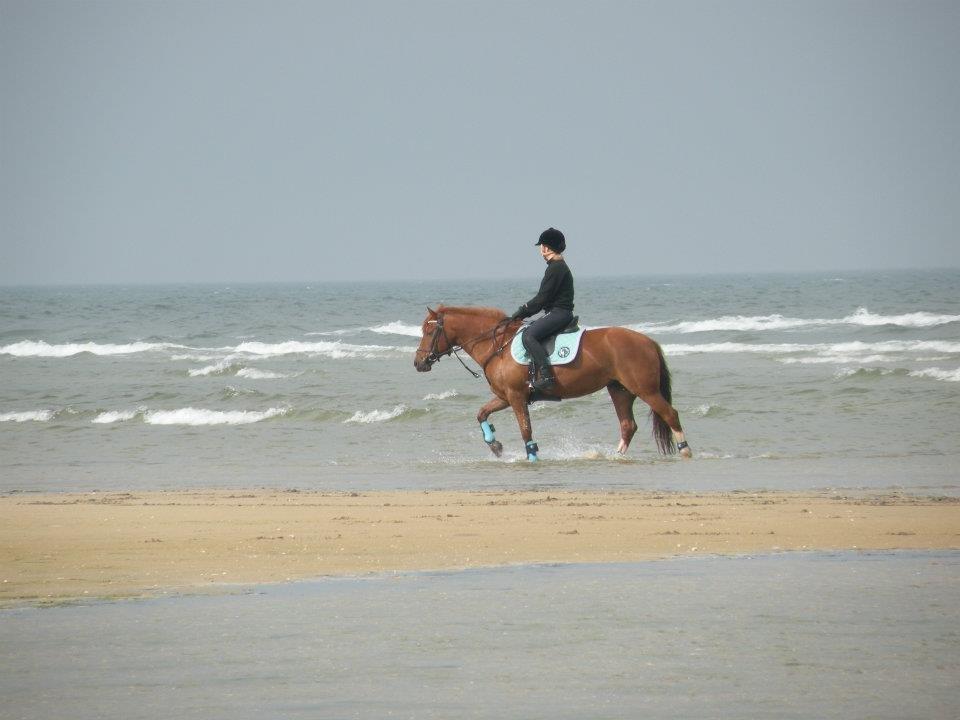 Anden særlig race Papaya - 1. gang på stranden <3 billede 12