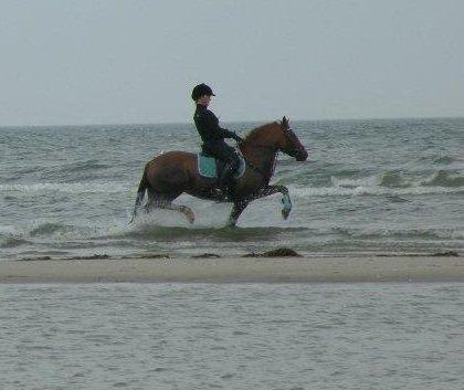 Anden særlig race Papaya - 1. gang på stranden <3 billede 13