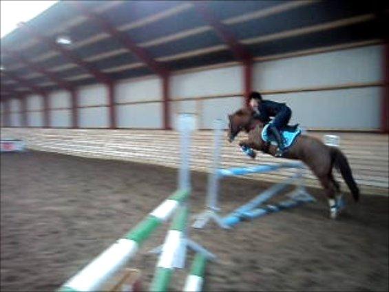 Anden særlig race Papaya billede 14