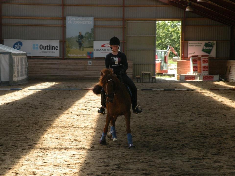 Anden særlig race Papaya billede 15