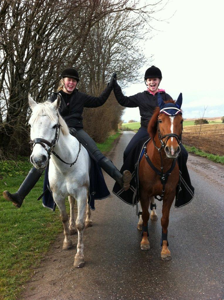 Anden særlig race Papaya - søde ponyer og min bedste veninde <3. billede 16