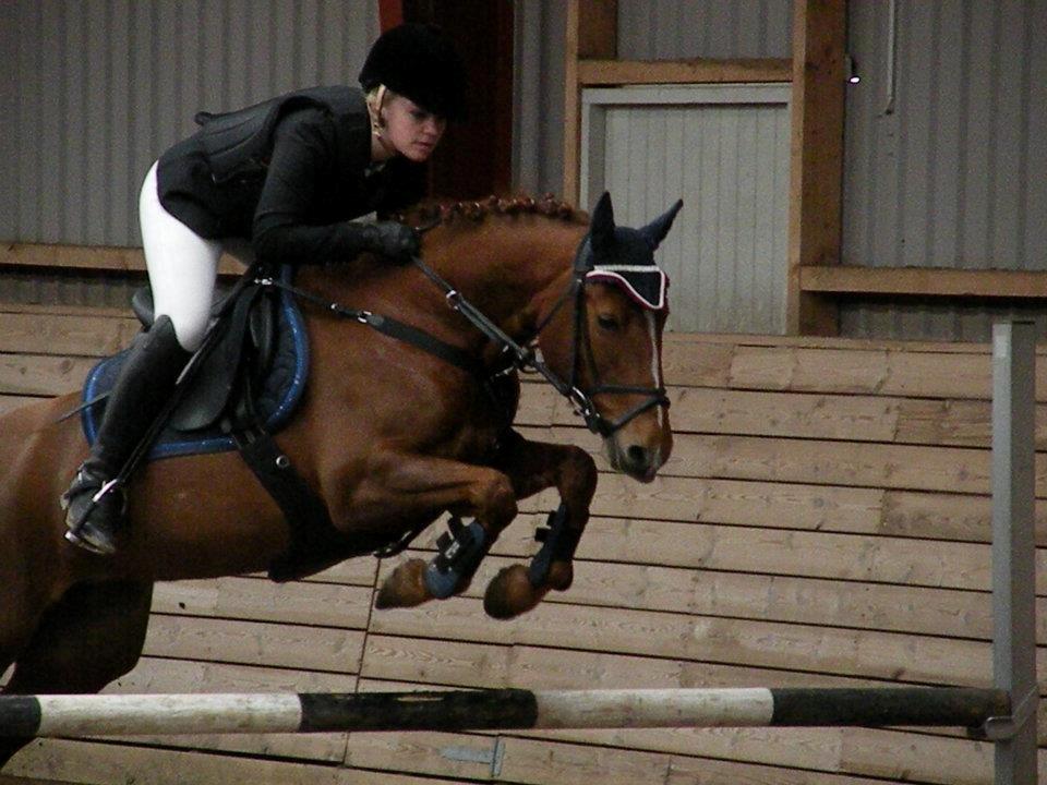 Anden særlig race Papaya billede 17