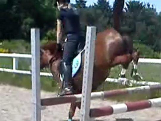 Anden særlig race Papaya - Når enden er god, er alting godt!
- tak fordi du så med :-) billede 19