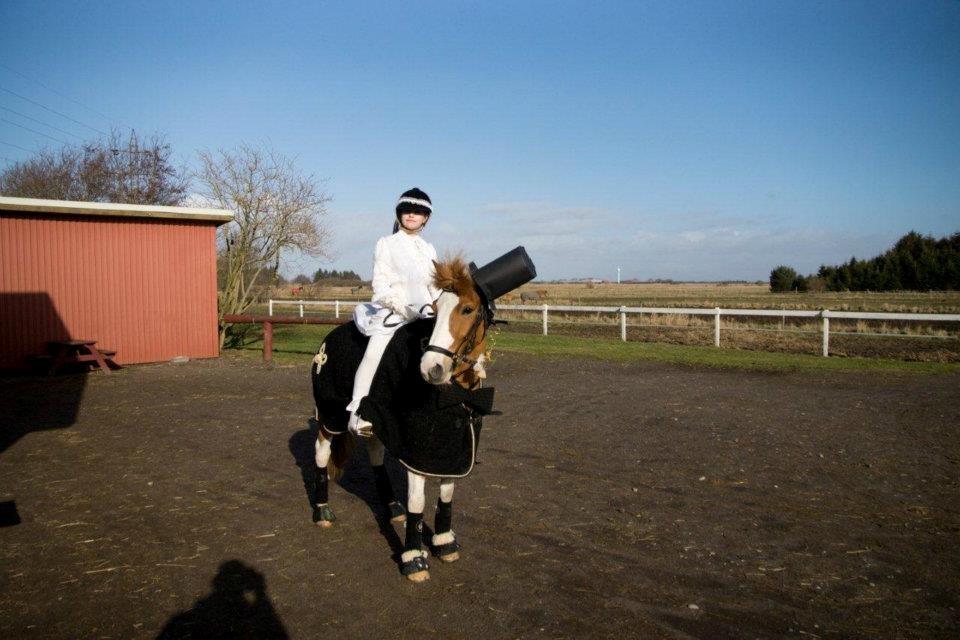 Anden særlig race Lucas<3 den bedste - Fastelavn 2012, vi var klædt ud som brudepar  billede 19