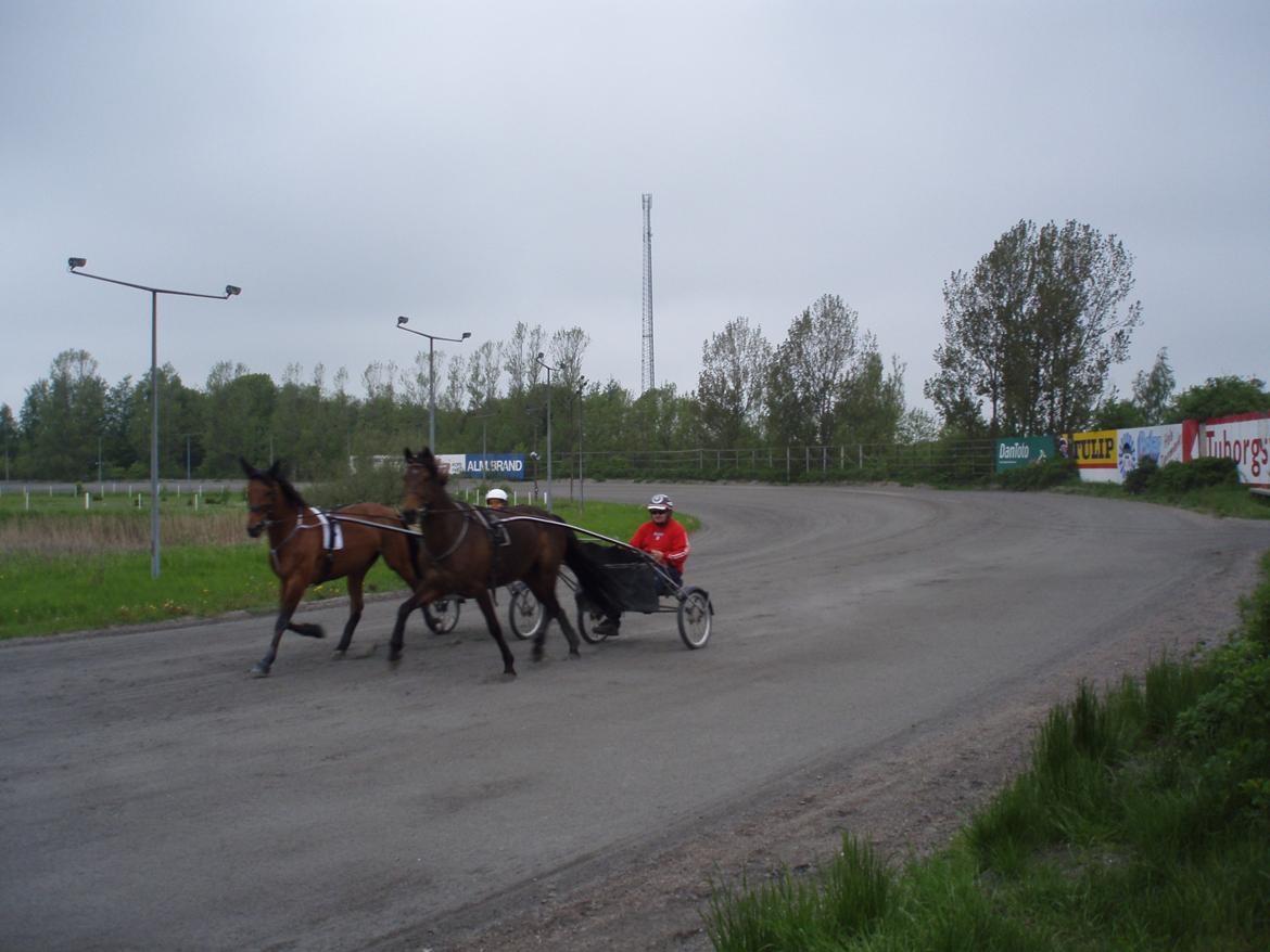 Traver Impish Guy billede 10