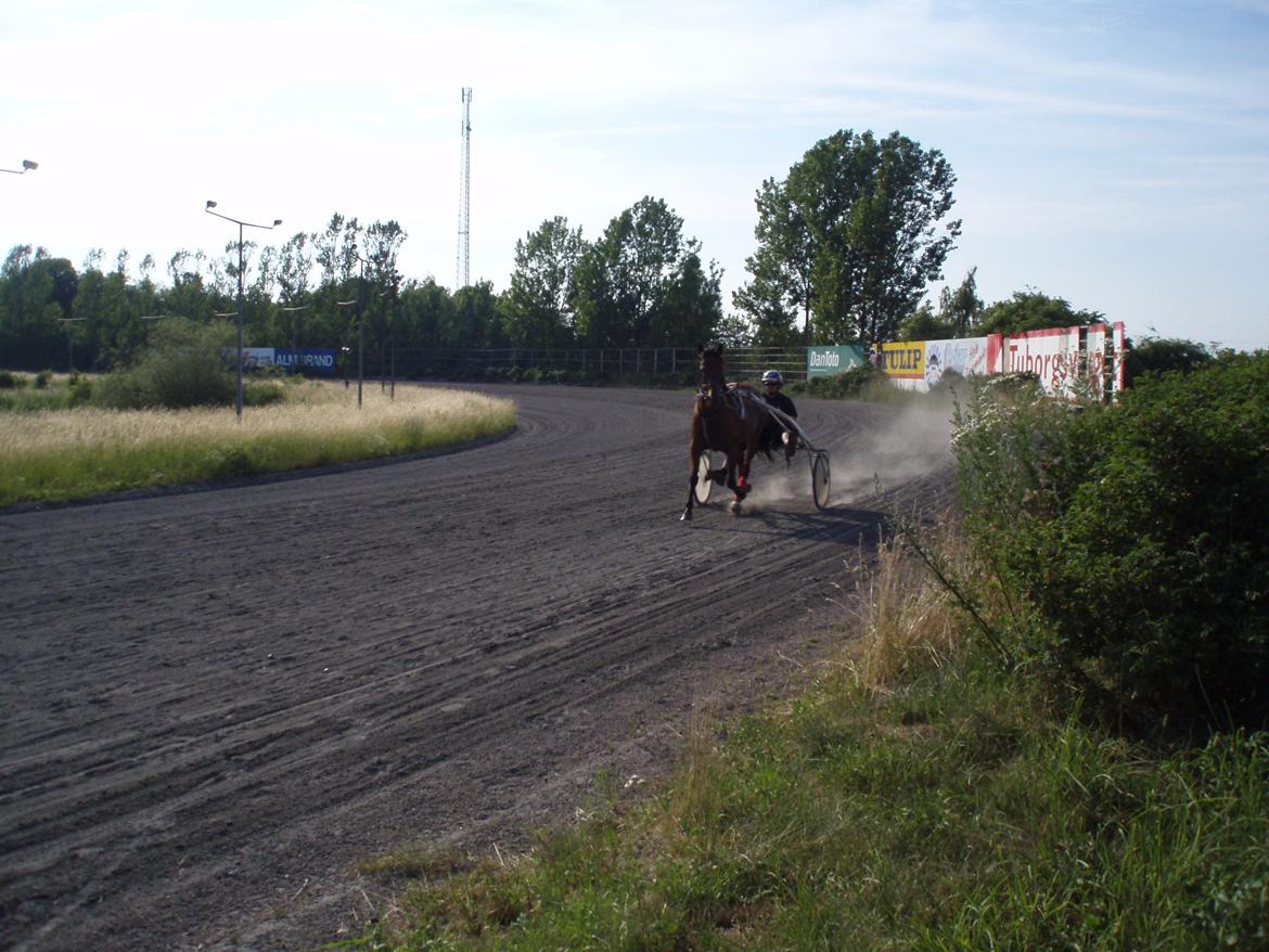 Traver Impish Guy billede 12