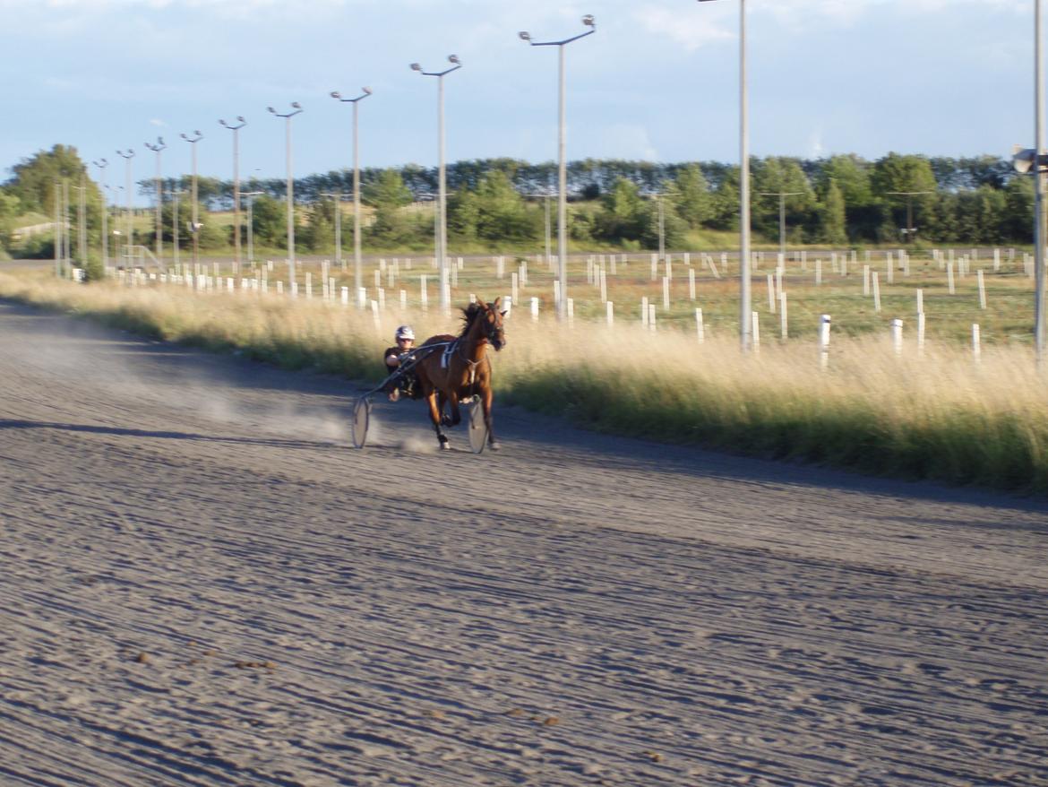 Traver Impish Guy billede 13