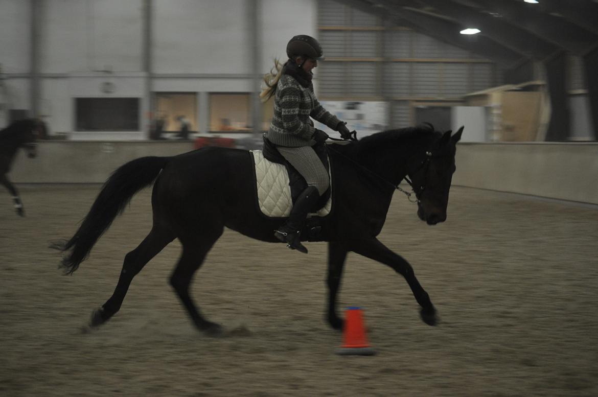 Traver Le Mans - Manses smukke galop <3 billede 8