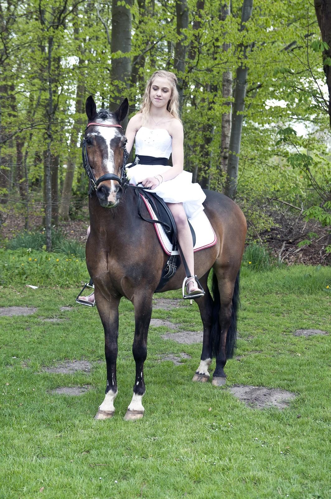 Tysk Sportspony Vämpy!:*<3 B-Pony SOLGT:( - Konfirmation 2012 billede 13