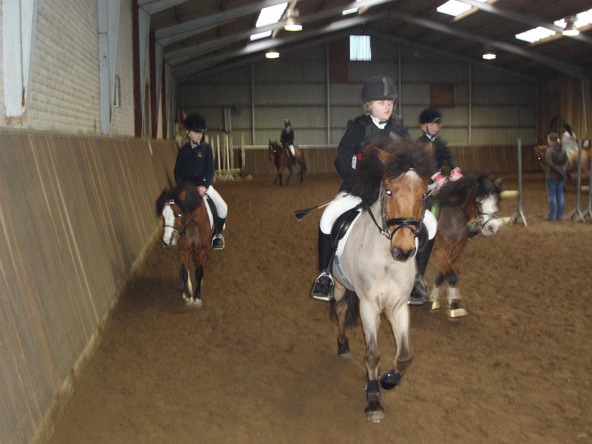 Welsh Mountain (sec A) Barbie - her var vi i skanderborg rideklub for at ride spring stævne. billede 7