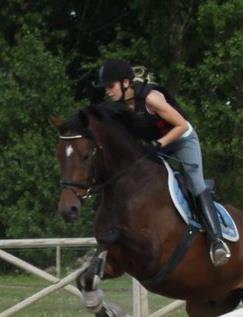 Dansk Varmblod Cameo Star Wind billede 17