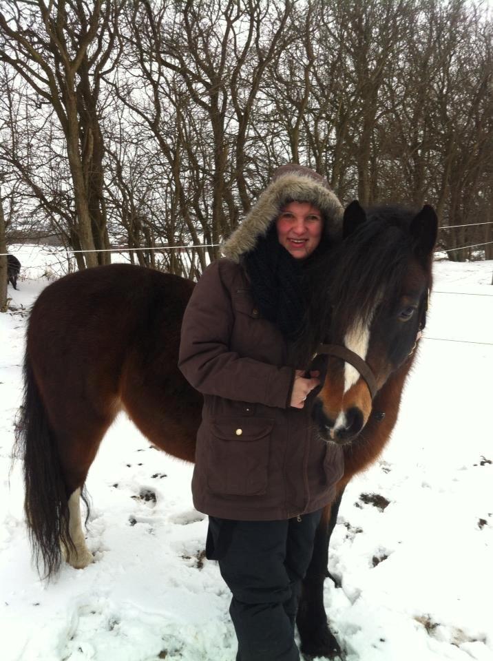 Dartmoor Manze af Vejlebro billede 6